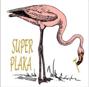 Plakaty cyfrowe i grafiki do pobrania, nowoczesne obrazy do samodzielnego wydruku